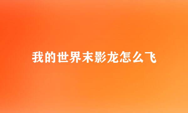 我的世界末影龙怎么飞