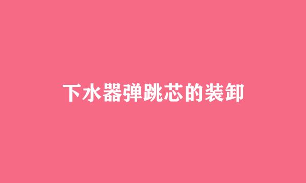 下水器弹跳芯的装卸
