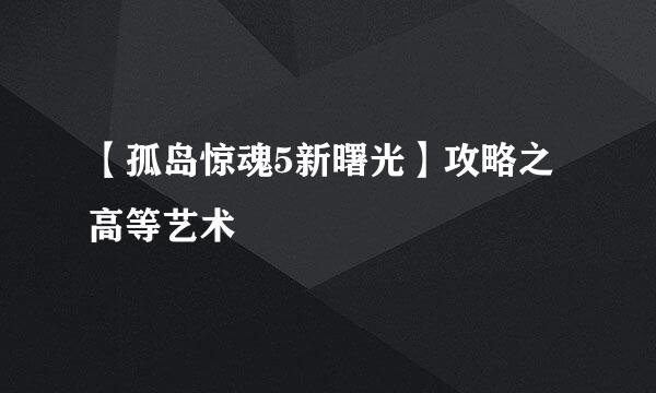 【孤岛惊魂5新曙光】攻略之高等艺术