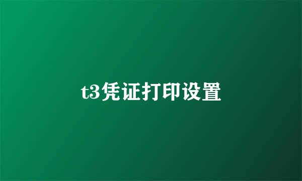 t3凭证打印设置