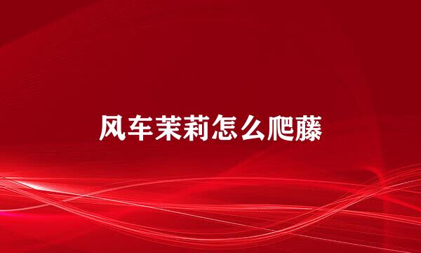 风车茉莉怎么爬藤