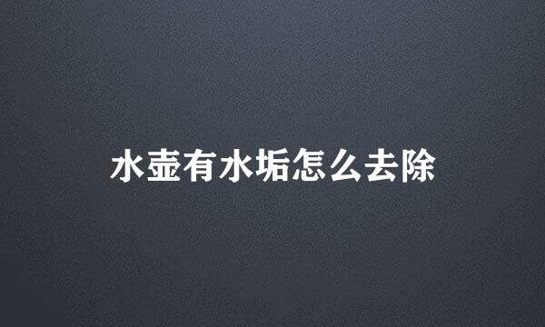 水壶有水垢怎么去除