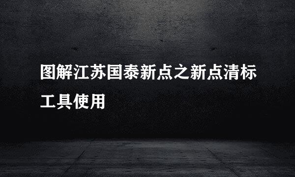 图解江苏国泰新点之新点清标工具使用