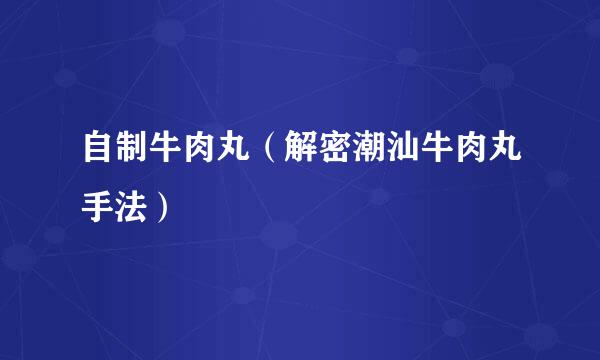 自制牛肉丸（解密潮汕牛肉丸手法）