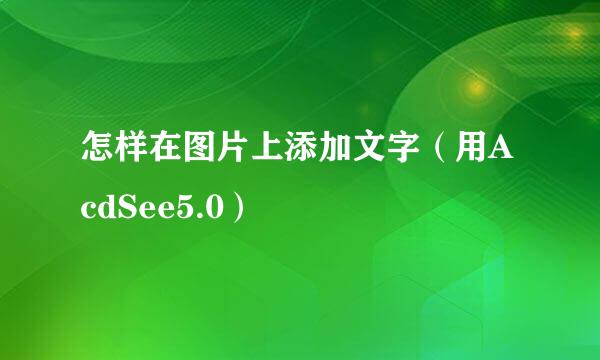 怎样在图片上添加文字(用AcdSee5.0)