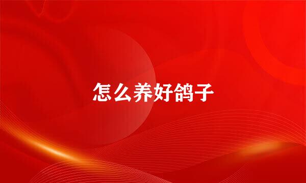 怎么养好鸽子