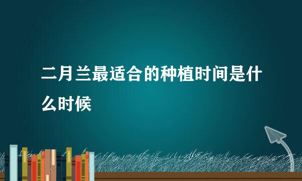 二月兰最适合的种植时间是什么时候