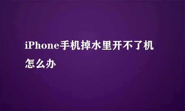 iPhone手机掉水里开不了机怎么办