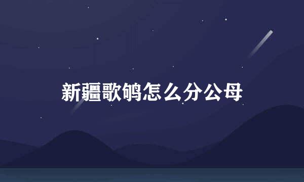 新疆歌鸲怎么分公母