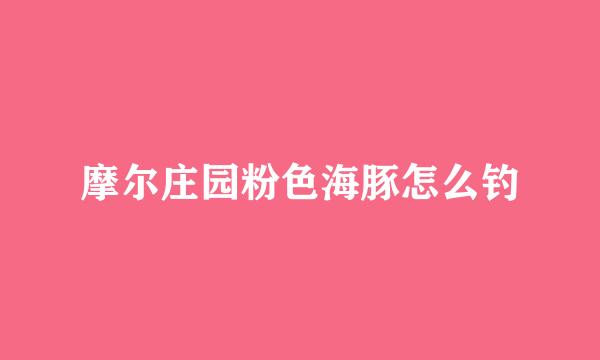 摩尔庄园粉色海豚怎么钓