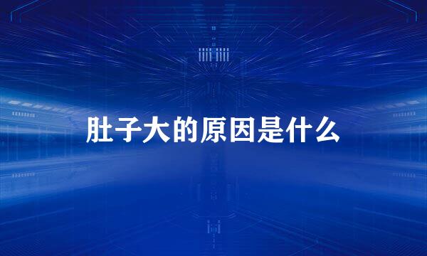 肚子大的原因是什么