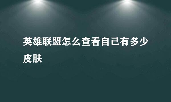英雄联盟怎么查看自己有多少皮肤