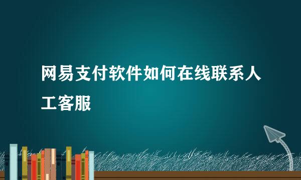 网易支付软件如何在线联系人工客服