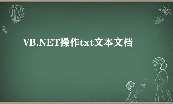 VB.NET操作txt文本文档