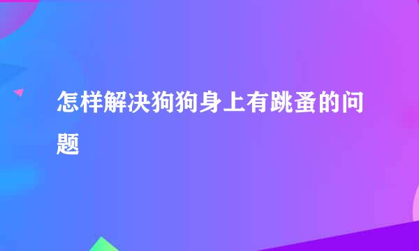 怎样解决狗狗身上有跳蚤的问题