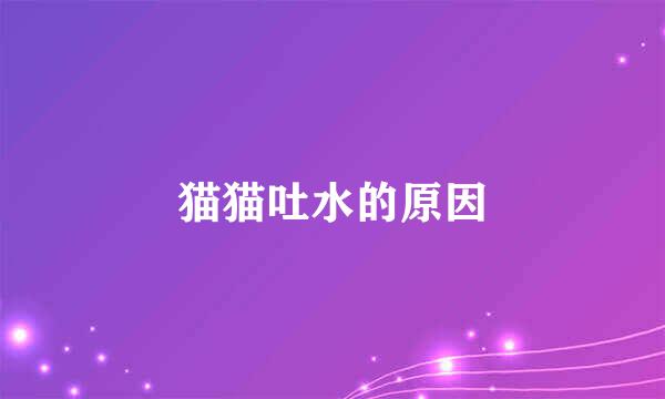 猫猫吐水的原因