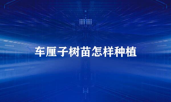 车厘子树苗怎样种植