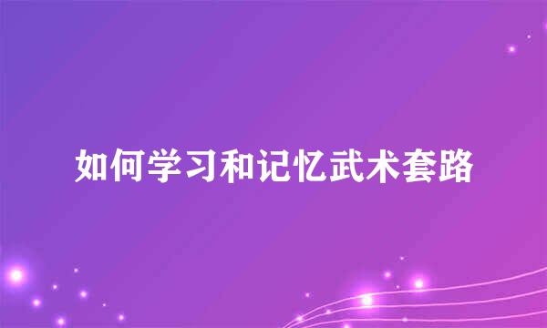 如何学习和记忆武术套路
