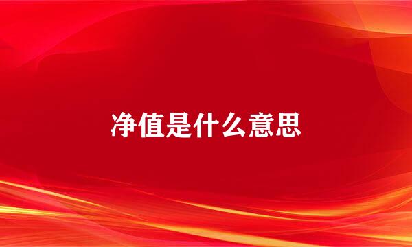 净值是什么意思