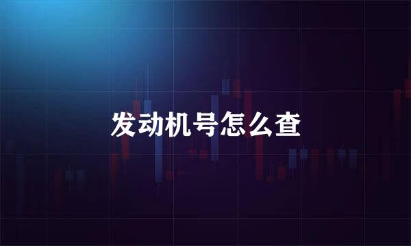 发动机号怎么查