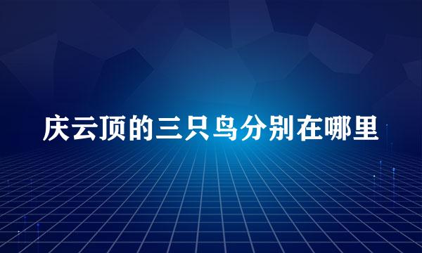 庆云顶的三只鸟分别在哪里