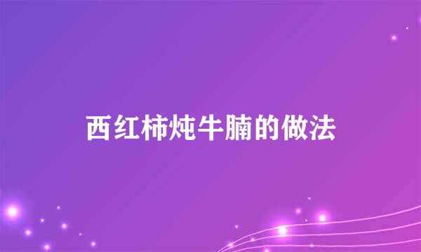 西红柿炖牛腩的做法
