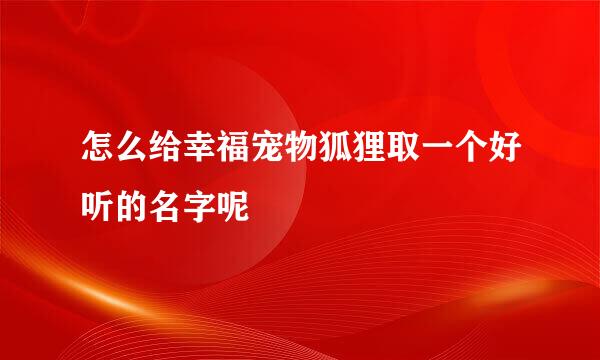 怎么给幸福宠物狐狸取一个好听的名字呢
