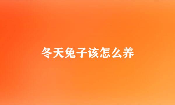 冬天兔子该怎么养