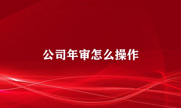 公司年审怎么操作