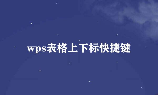 wps表格上下标快捷键