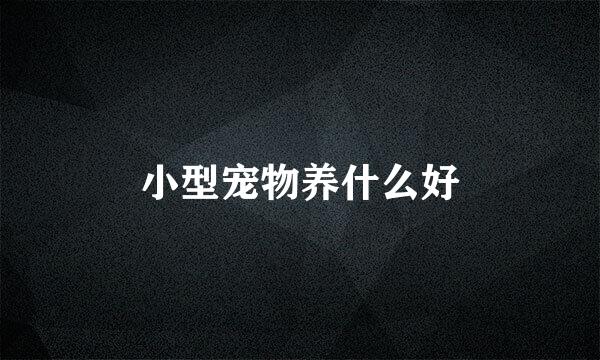 小型宠物养什么好