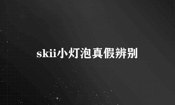 skii小灯泡真假辨别