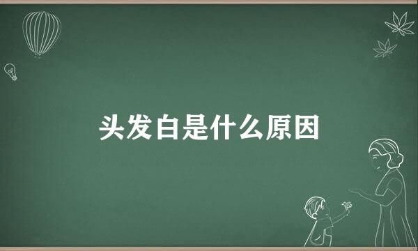 头发白是什么原因
