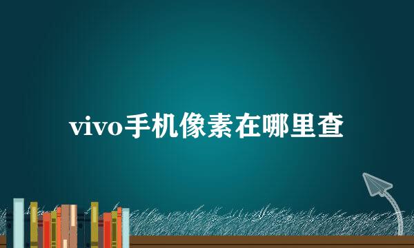 vivo手机像素在哪里查