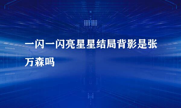 一闪一闪亮星星结局背影是张万森吗