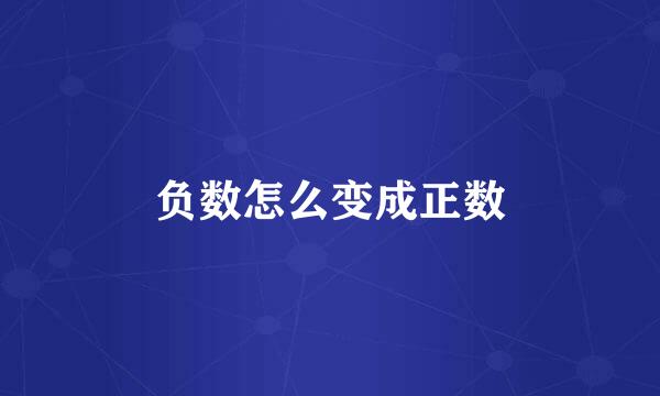 负数怎么变成正数