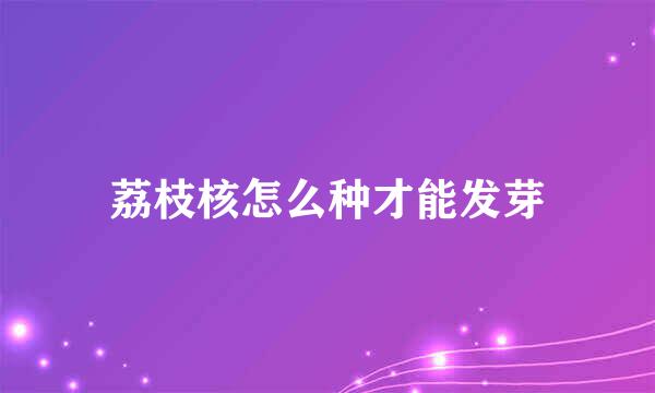 荔枝核怎么种才能发芽