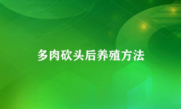 多肉砍头后养殖方法