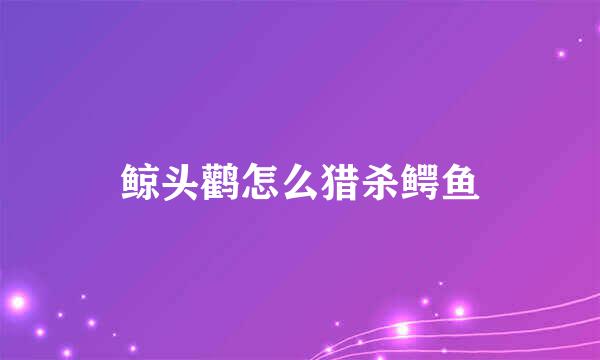 鲸头鹳怎么猎杀鳄鱼