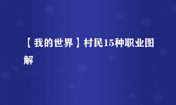 【我的世界】村民15种职业图解