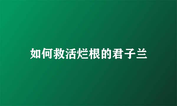 如何救活烂根的君子兰