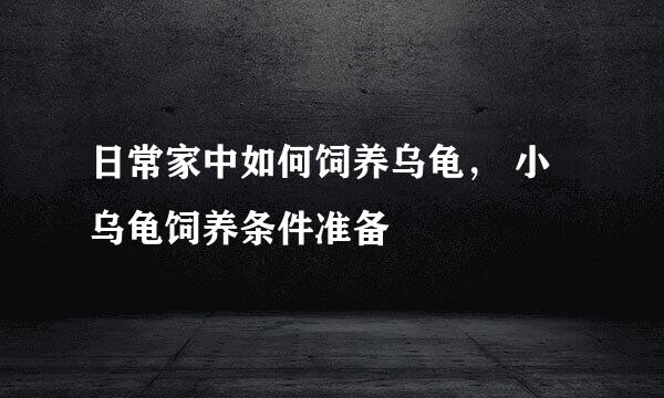 日常家中如何饲养乌龟， 小乌龟饲养条件准备