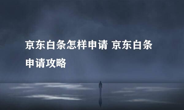 京东白条怎样申请 京东白条申请攻略