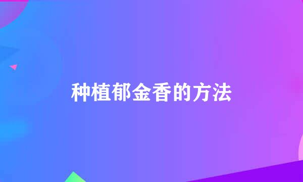 种植郁金香的方法