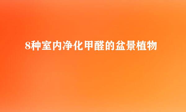 8种室内净化甲醛的盆景植物