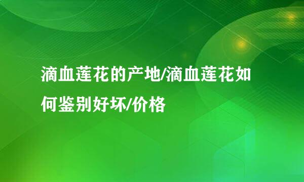 滴血莲花的产地/滴血莲花如何鉴别好坏/价格