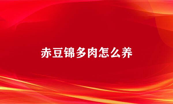 赤豆锦多肉怎么养