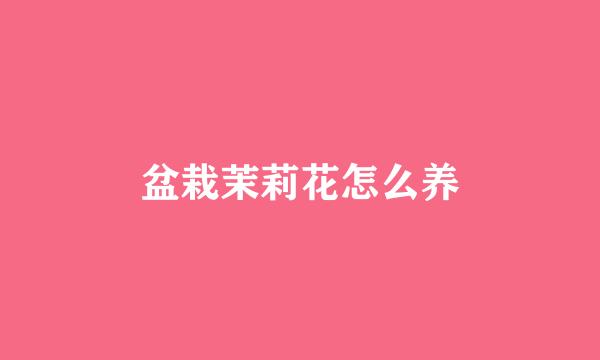 盆栽茉莉花怎么养