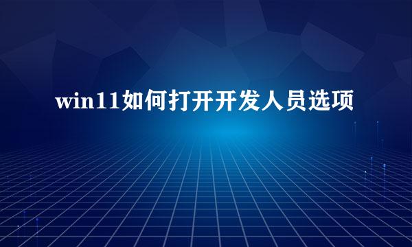 win11如何打开开发人员选项