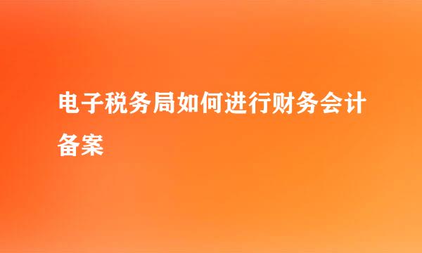电子税务局如何进行财务会计备案